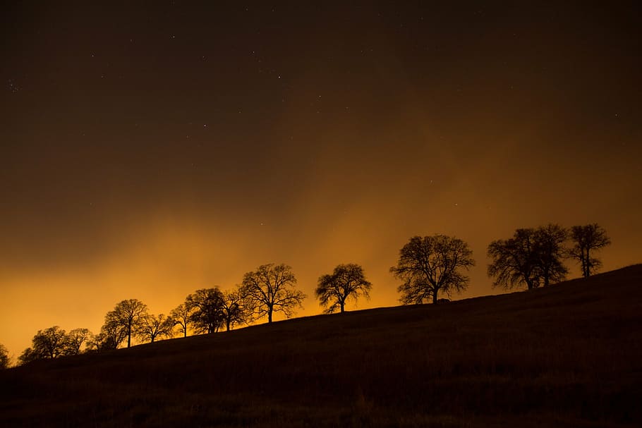 silhouette of trees, night, dusk, sky, stars, nature, sunset HD wallpaper