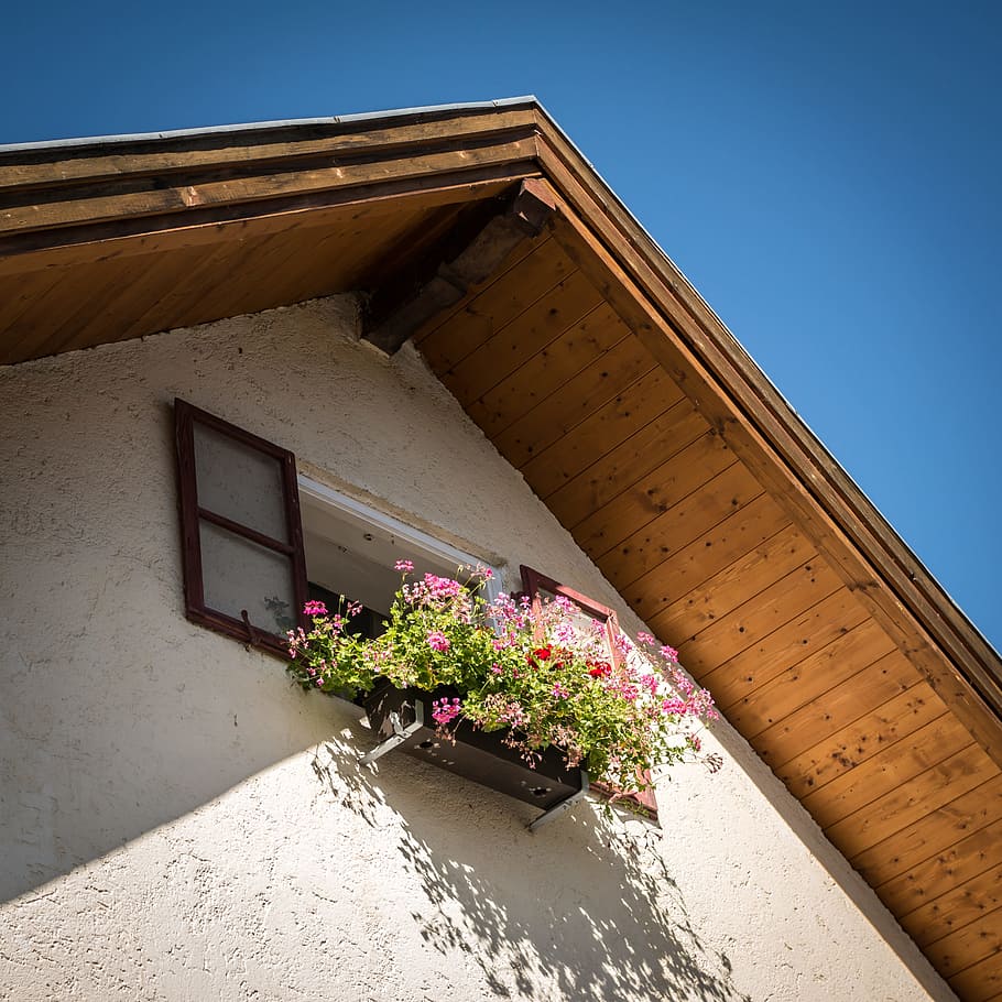 Window, Roof, Shutter, Gable, Flowers, flower box, sky, blue HD wallpaper