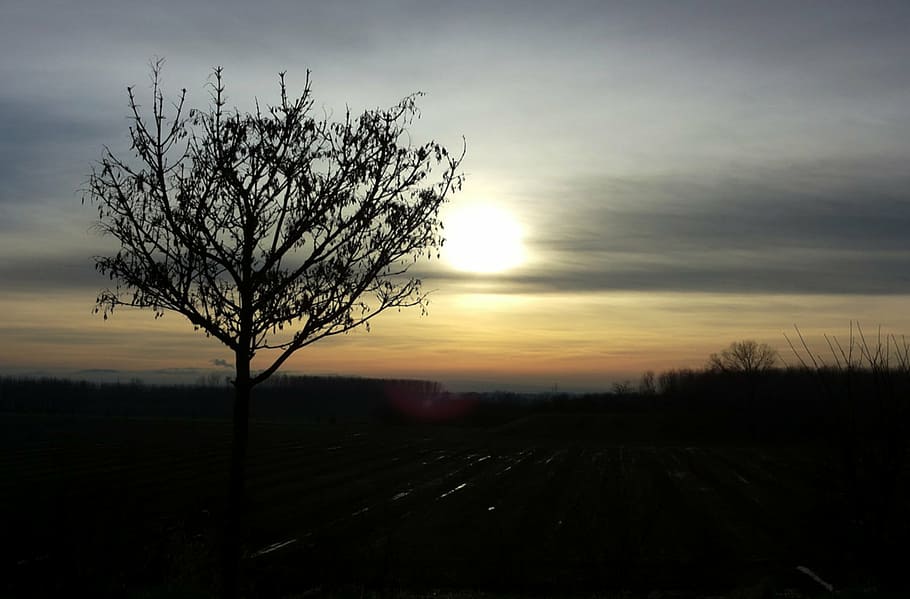 sadness, sunset, autumn, sky, cloud - sky, tree, tranquility HD wallpaper