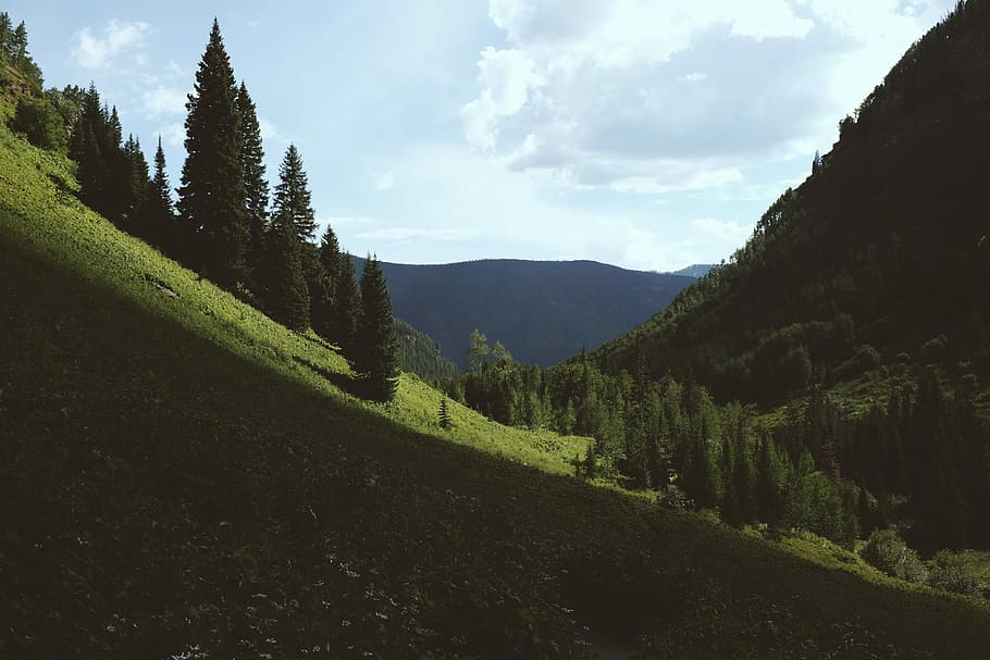 Almost there, person showing green trees, hill, landscape, mountain HD wallpaper