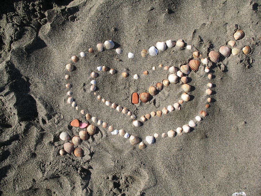 seashells on sand, Heart, Love, Cupid, Romance, heart shape, text, HD wallpaper