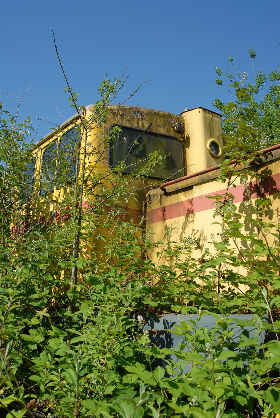 diesellock, train, retired, turned off, old, overgrown, plant HD wallpaper