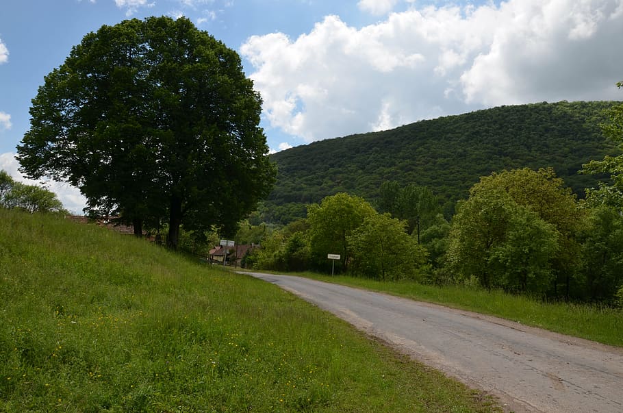 nature, forest, region, trees, tourist attractions, green, hungarian landscape HD wallpaper