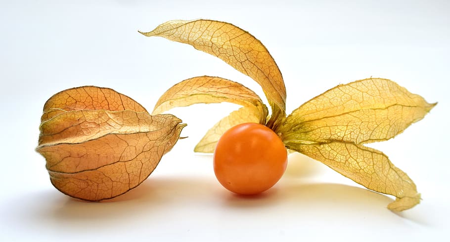 round orange fruit, physalis, berry, food, healthy, vitamins HD wallpaper