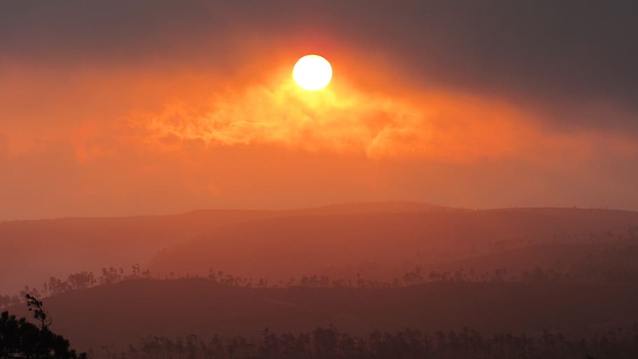 trees on moutain, Sun, Sunrise, Orange, Clouds, Mountains, nature HD wallpaper