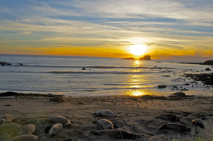 Sunset, Beach, Sea, nature, sky, beauty in nature, scenics HD wallpaper