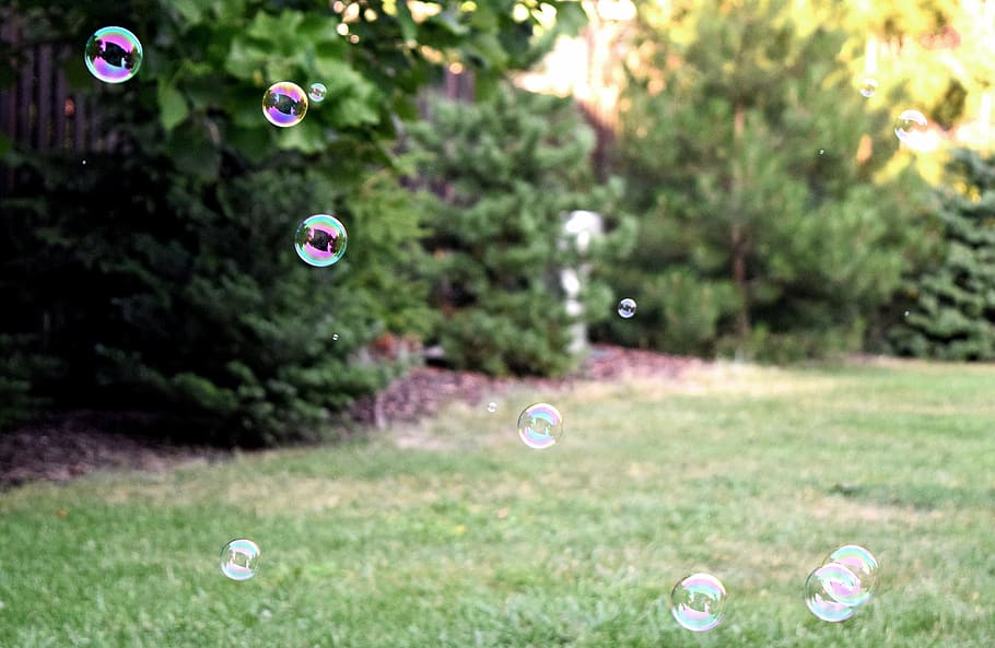 bubbles, grass, lawn, plant, mid-air, nature, day, focus on foreground HD wallpaper