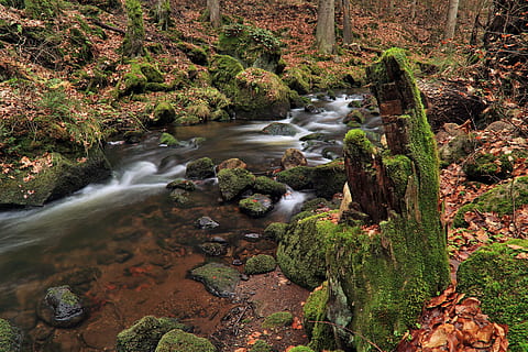 body of water with moss covered rocks, torrent, river, stream HD wallpaper