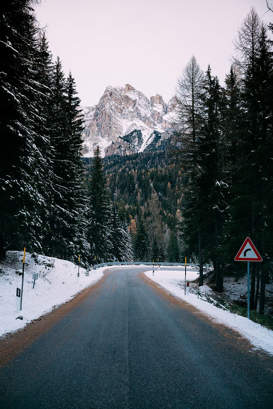road, sign, trees, plants, nature, snow, winter, cold, forest HD wallpaper