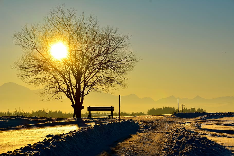 sunset, abendstimmung, romance, twilight, sky, snow, wintry HD wallpaper