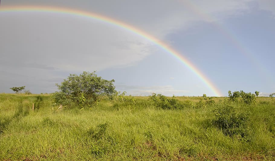 landscape, sky, blue sky, cloud, brazil, nature, rainbow, grass HD wallpaper