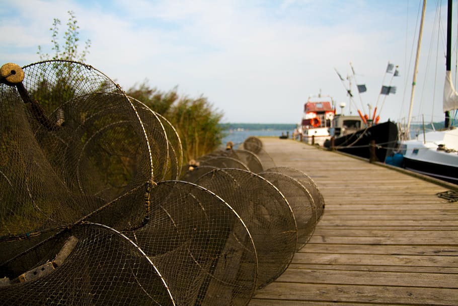 web, sea, port, reuse, boats, boardwalk, baltic sea, fischer HD wallpaper