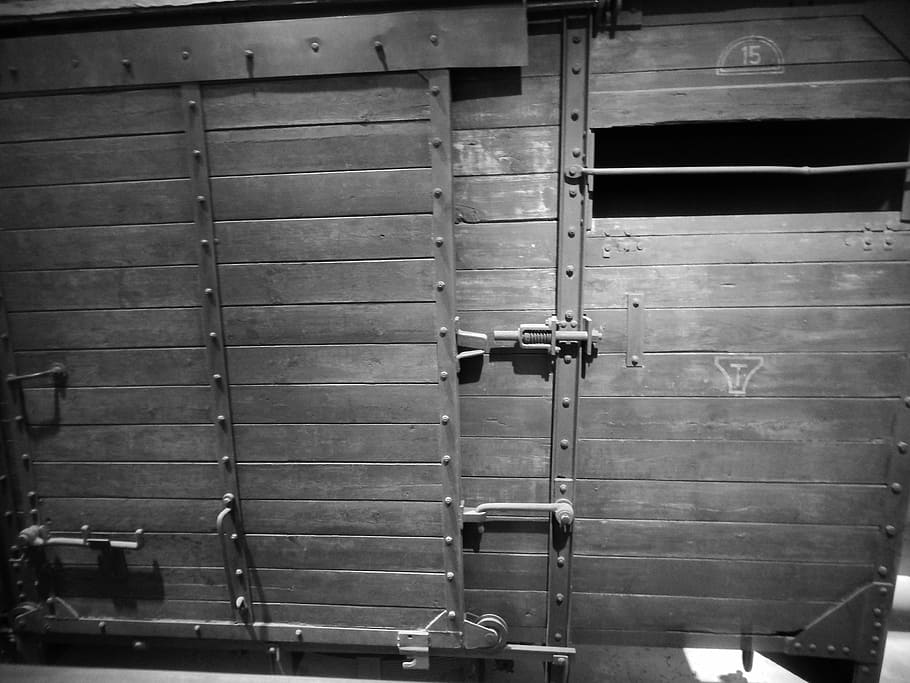 Train, Wood, Metal, Rustic, holocaust museum, no people, industry HD wallpaper