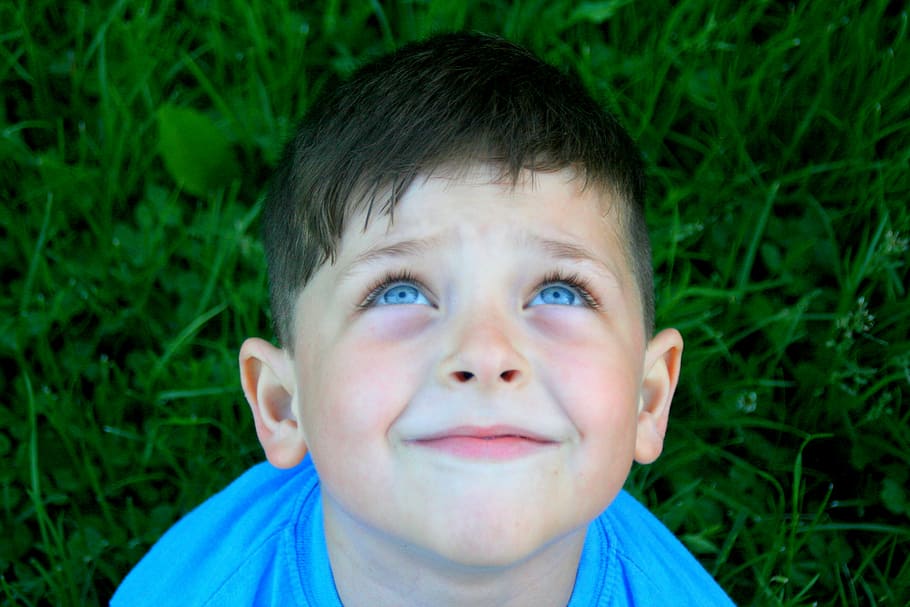 boy, portrait, blue, about, grass, headshot, child, childhood HD wallpaper