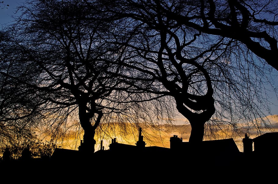 Sunset, Spring, Red, Cloud, Clouds, sky, tree, trees, seasons HD wallpaper