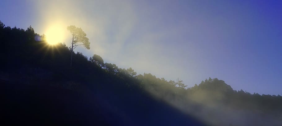 fog, inversion, backlight, landscape, horizon, sun, blue sky HD wallpaper