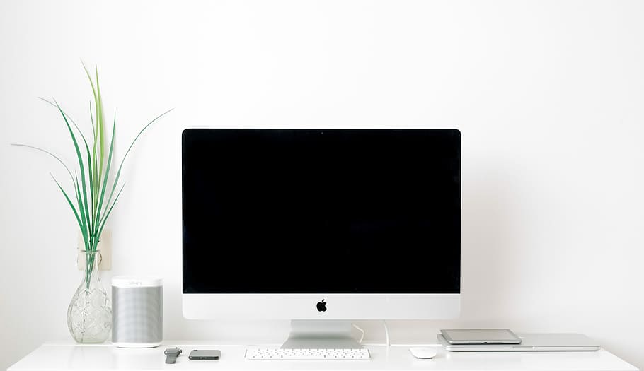 white iMac turned off, silver iMac beside plant in vase, office HD wallpaper