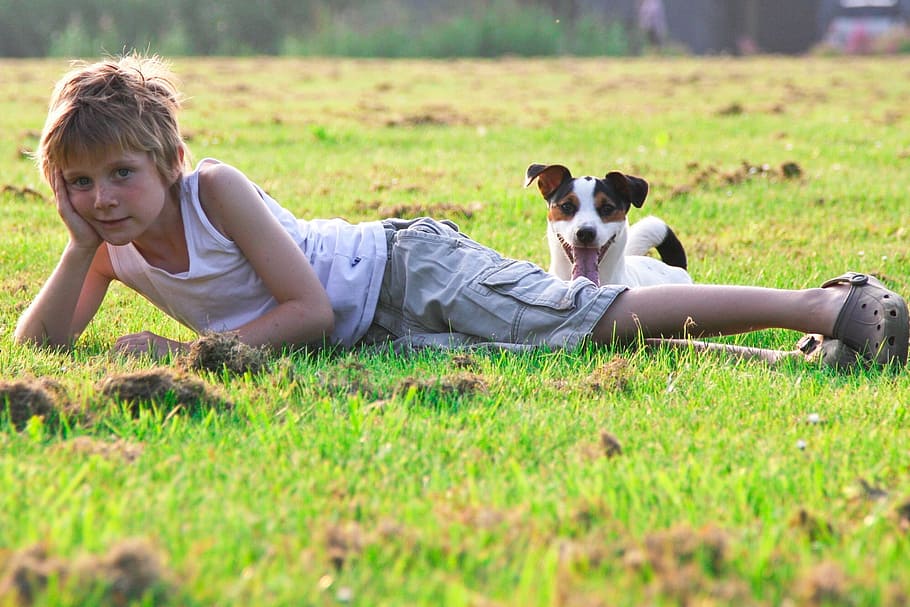 boy wearing white tank top lying on green grass beside short-coated white and brown dog during daytime, HD wallpaper
