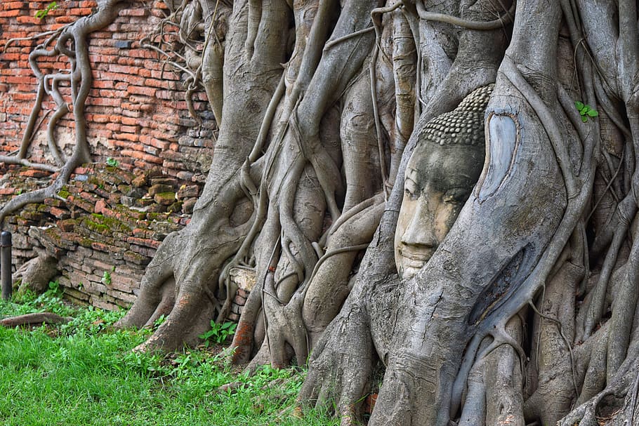 thailand, temple, ancient, architecture, sculpture, representation HD wallpaper