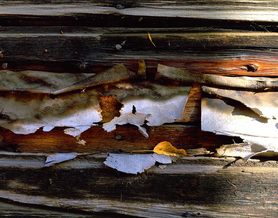 barn, leaf, rural, retro, country, old, wood - material, no people HD wallpaper