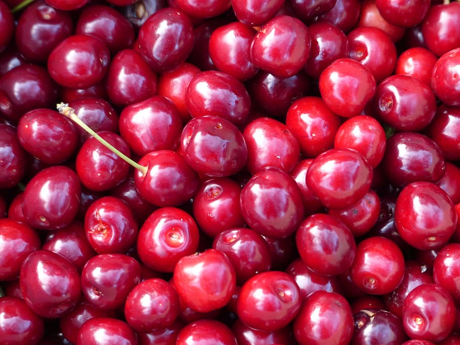 cherry, sweet cherry, red, fruit, healthy, leaves, branch, summer HD wallpaper