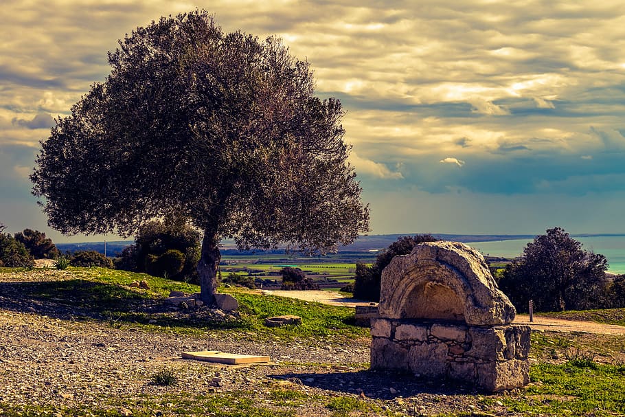 fountain, ancient, stone, architecture, olive tree, landscape HD wallpaper