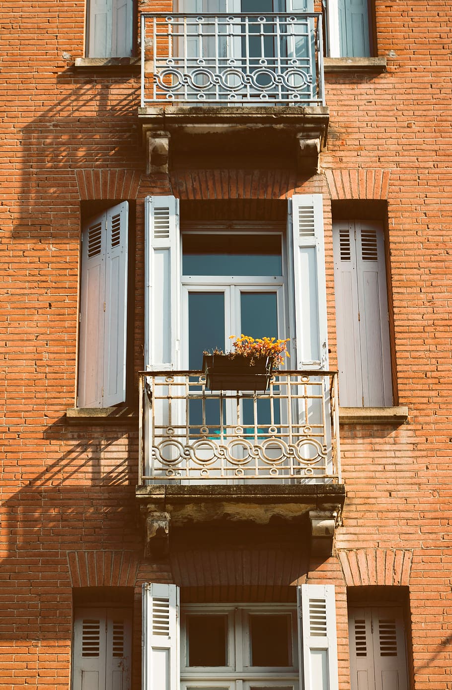 apartment window during daytime, photograph of window behind orange petaled flower, HD wallpaper