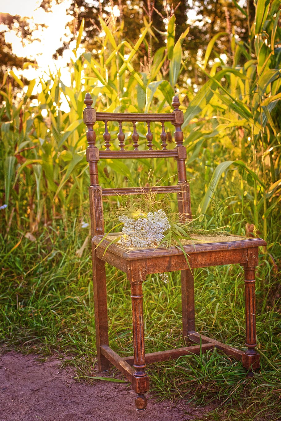 HD wallpaper: Chair, Sun, Flowers, Nature, out, evening, sunset, relaxation  | Wallpaper Flare