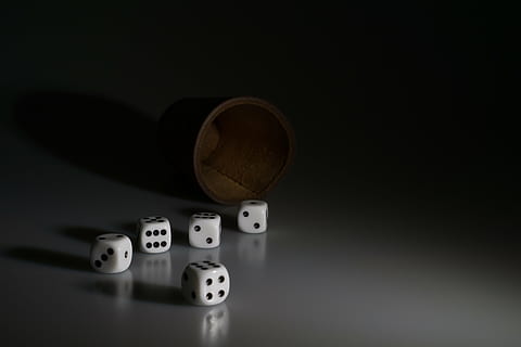 five dice on white surface close-up photo, cube, shaker, play HD wallpaper