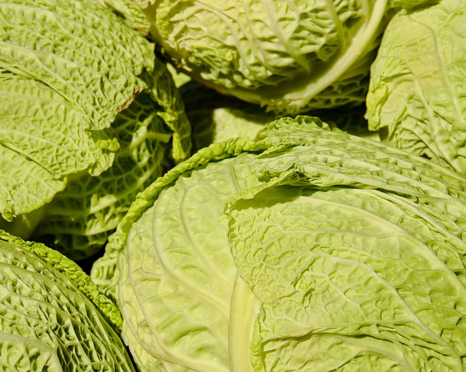 bunch of cabbage vegetables, savoy, savoy cabbage, kohl, herb, HD wallpaper