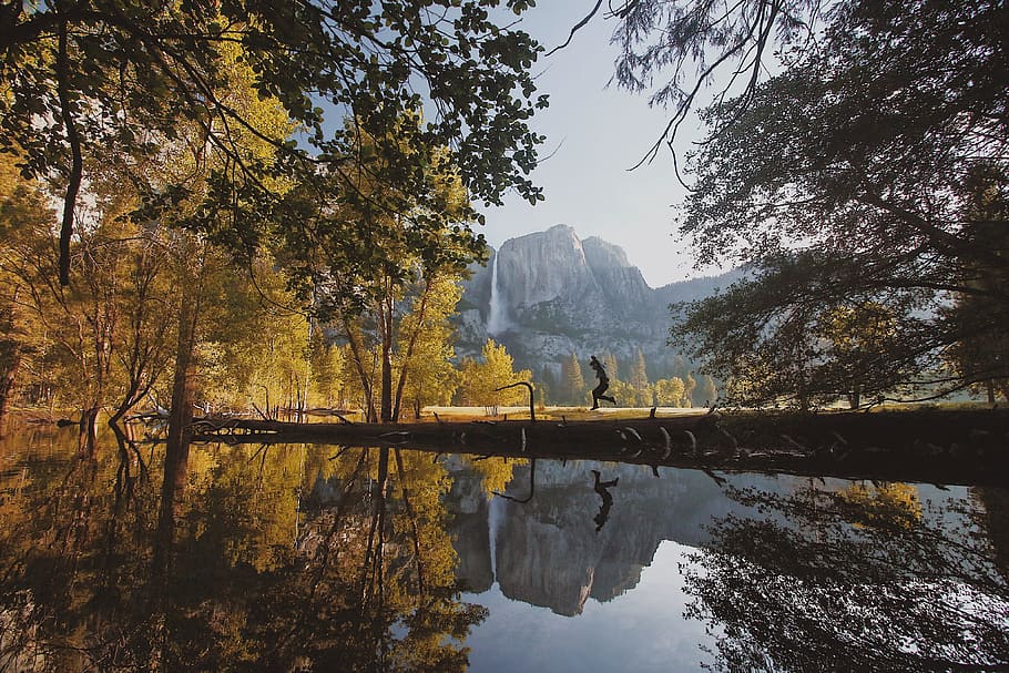 landscape photography of trees and lake, Yosemite Valley, water HD wallpaper