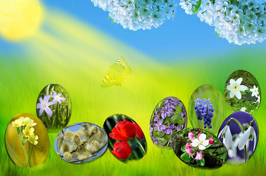 easter, eggs, spring, sun, grass, green, sky, blue, light, primrose, HD wallpaper