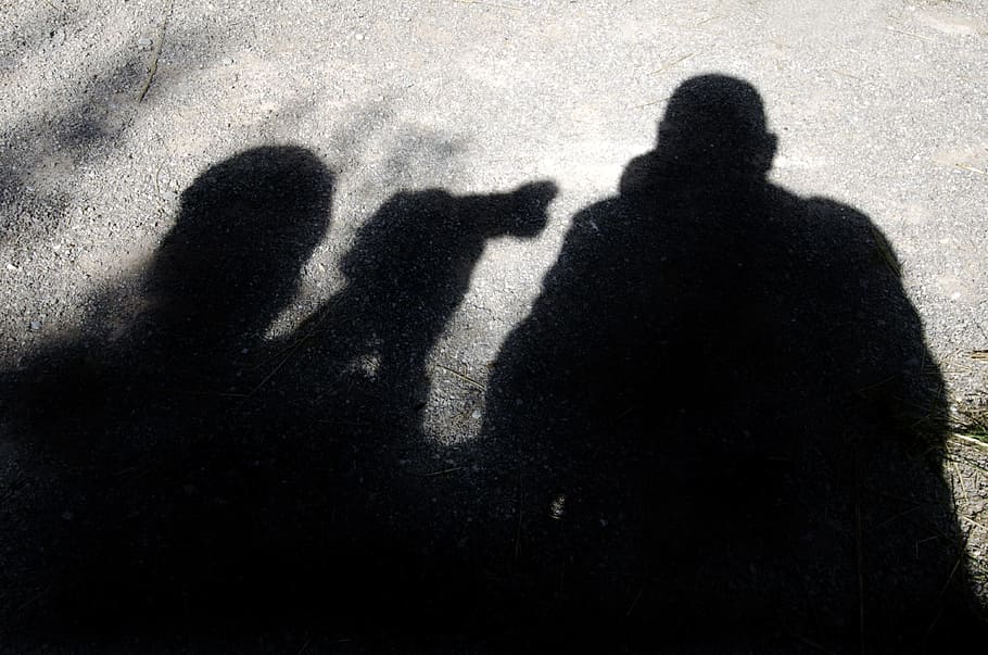 photographer, camera, silhouette, light, people, man, adult HD wallpaper