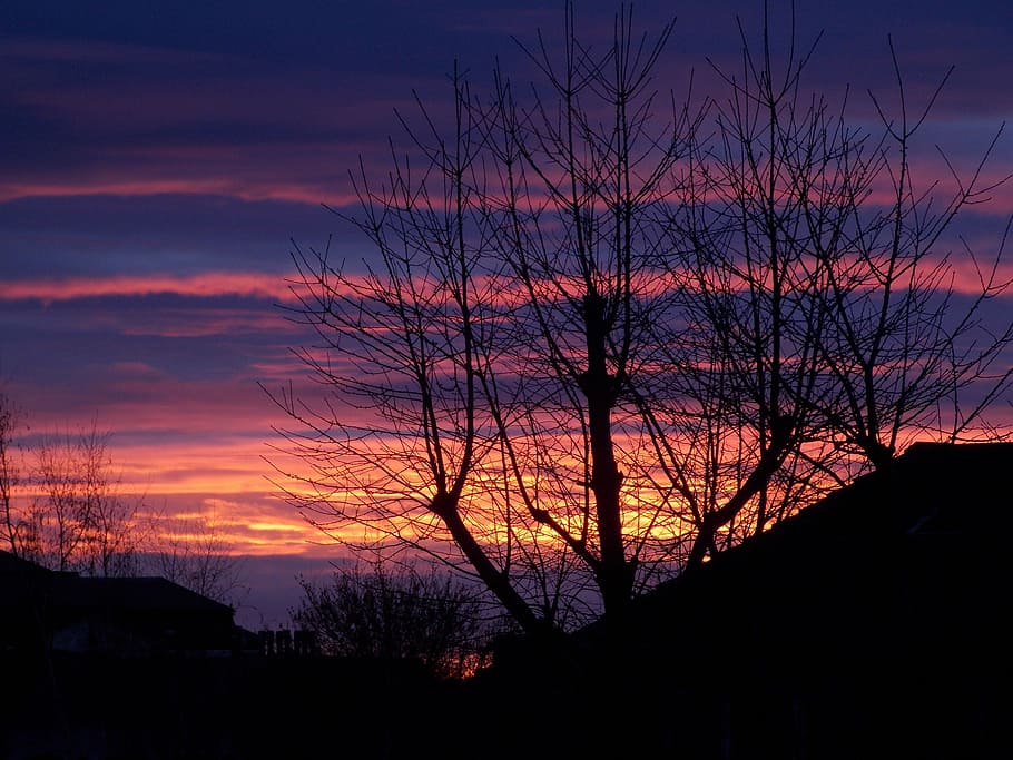 backlit, beautiful, clouds, color, dark, dawn, dusk, evening HD wallpaper