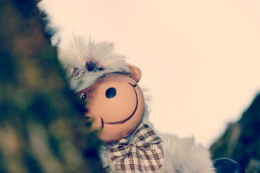 sheep, cute, funny, soft toy, fur, animal world, clothing, child HD wallpaper