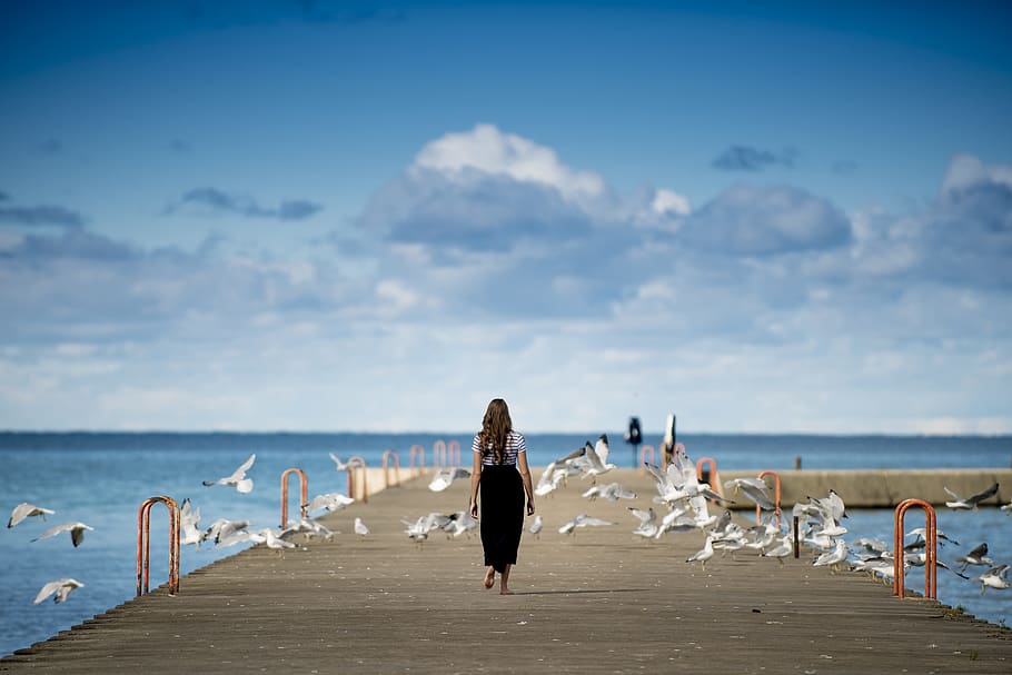 woman walking on dock overlooking beach with birds around under blue sky HD wallpaper