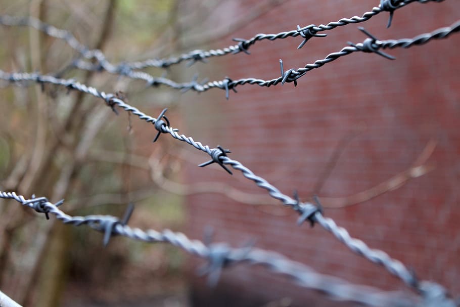 barbed wire, security, close, tiefenschärfe, fence, safety HD wallpaper