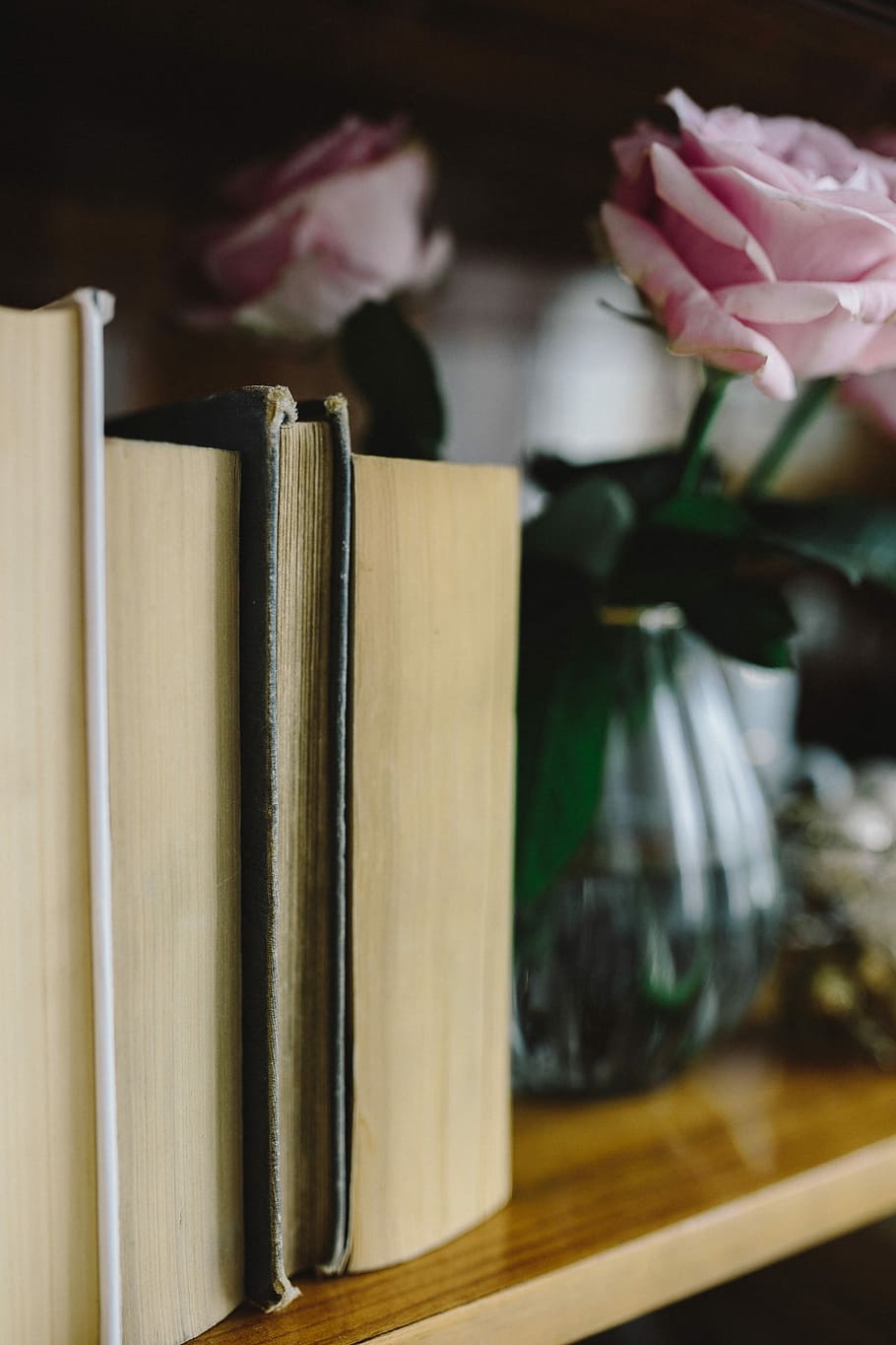 Lovely roseses, book and coffee, interior, resting, relax, essentials