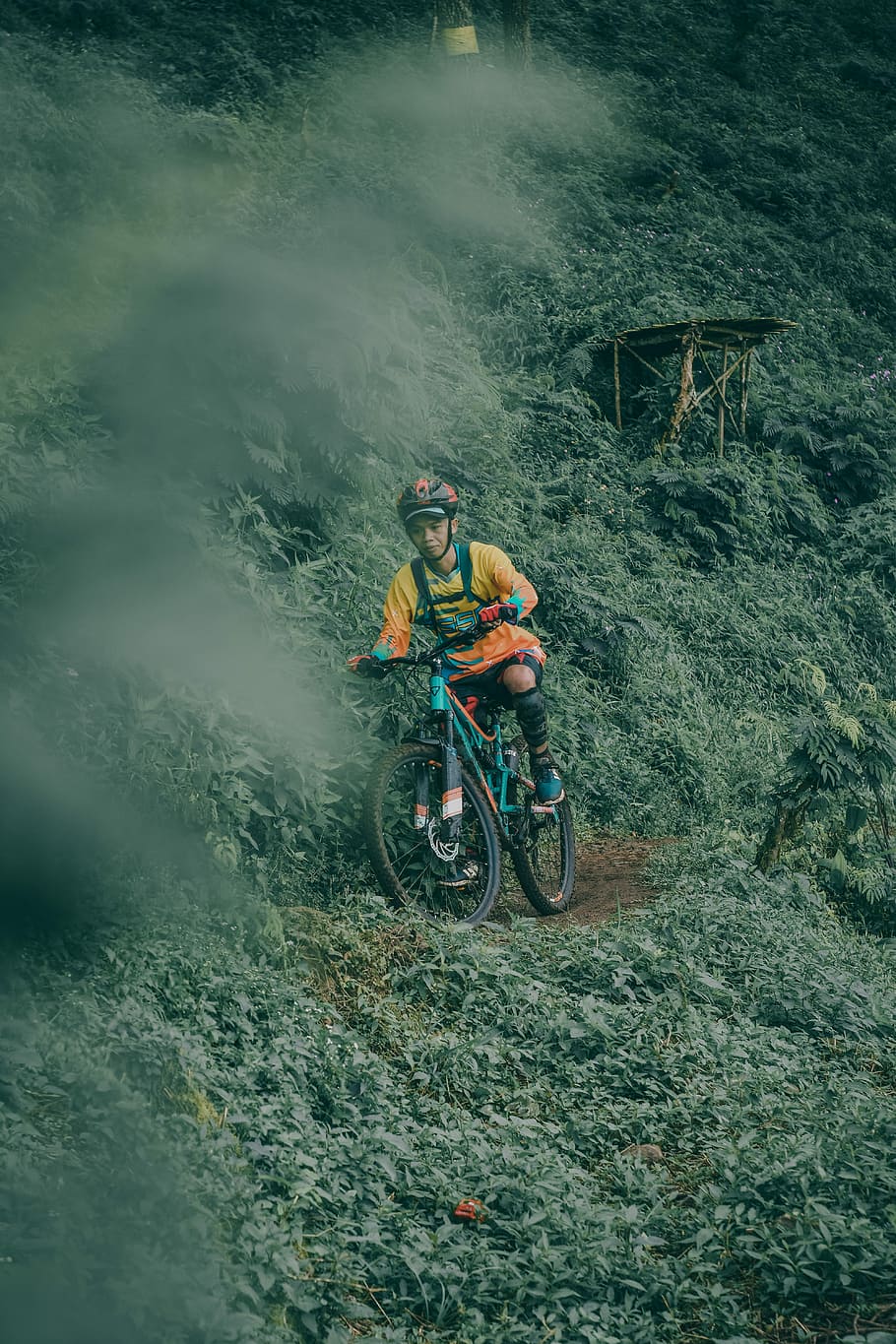 man riding teal full-suspension mountain bike on edge surrounded by green leaf plants, man riding mountain bike HD wallpaper