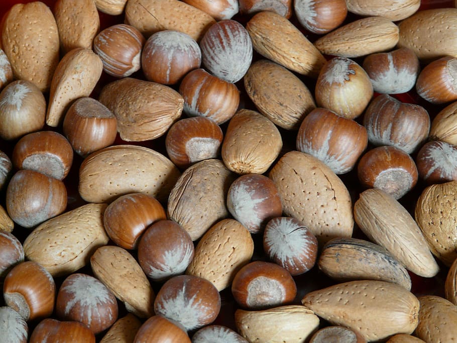 nuts, hazelnuts, almonds, shells, eat, food, brown, nutritious HD wallpaper