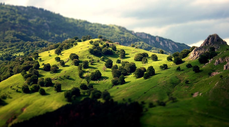 landscape photography of mountain, Trees, Green, Mountain, nature HD wallpaper