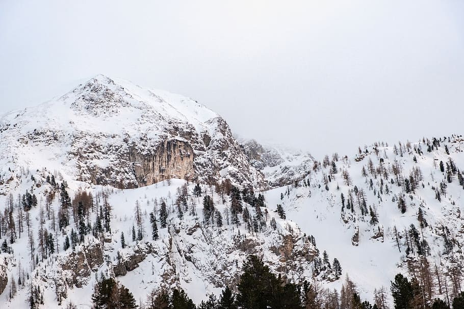 snow covered mountains, mountain covered by snow, tree, forest HD wallpaper