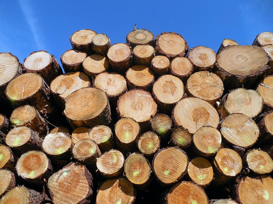 brown log lot, wood, tree trunks, forestry, timber industry HD wallpaper