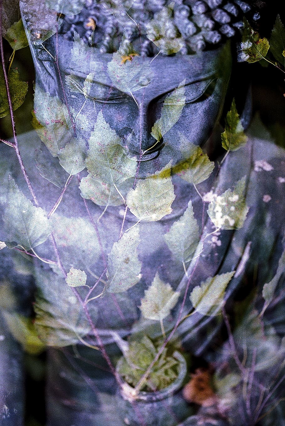 buddha, leaf, religion, statue, buddhist, oriental, buddhism HD wallpaper