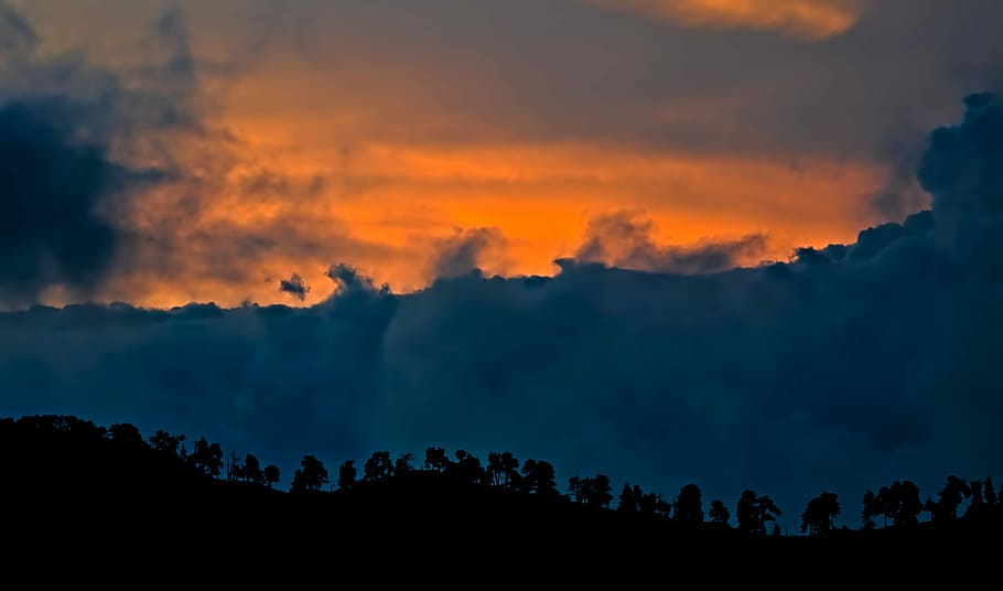 silhouette of trees during sunset, silhouette of trees, cloud HD wallpaper