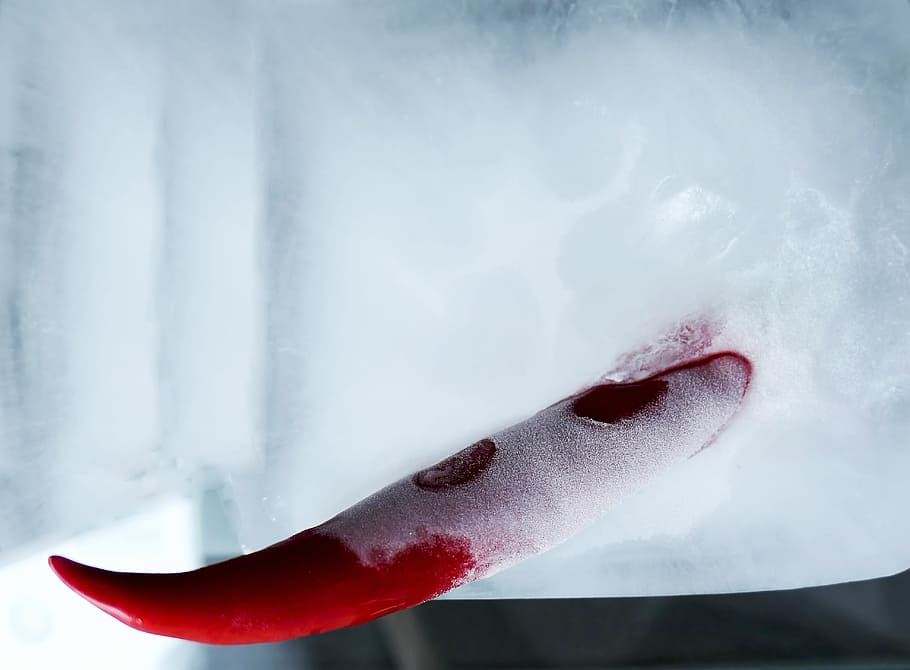 pepperoni, ice, red, ice cold, winter, water, frozen, transparent HD wallpaper