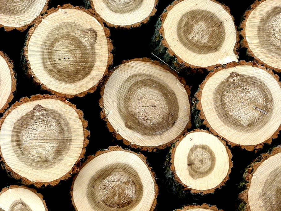 Hardwood, Tree Trunks, holzstapel, stack, backgrounds, wine HD wallpaper
