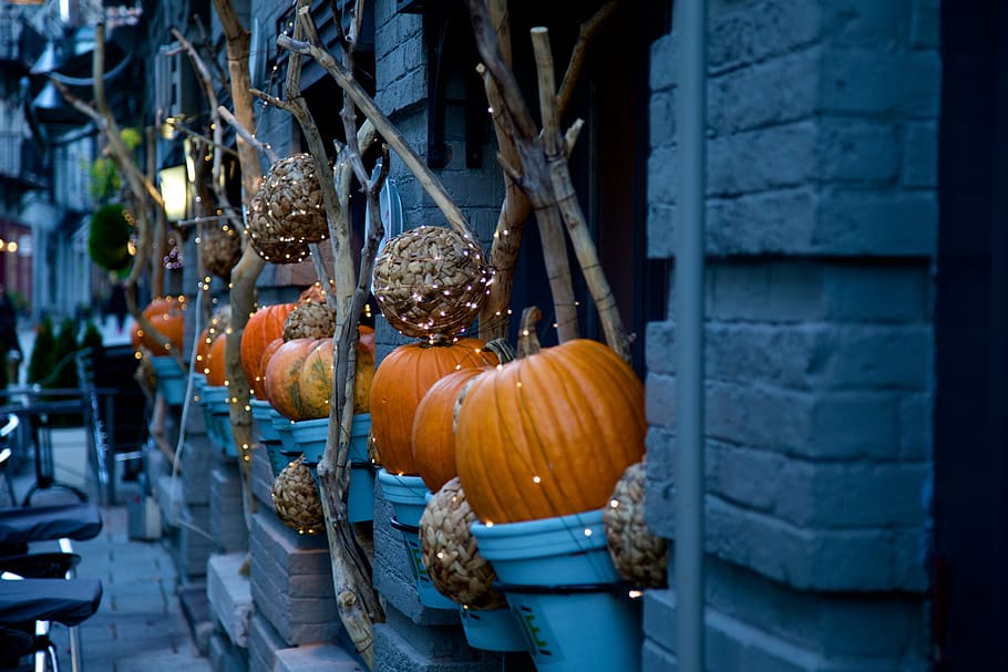 orange pumpkins outside gray concrete building, halloween decorating HD wallpaper