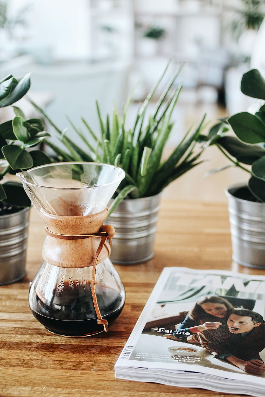 clear coffee filter on table, plant, green, planter, indoors HD wallpaper