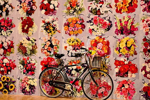 Andy Warhol, Art, Pop, Yellow, red, floral, pattern, bicycle HD wallpaper